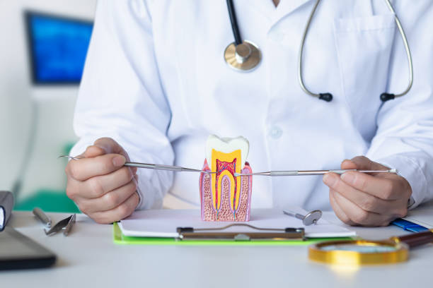 Best Emergency Tooth Extraction in Mcgregor, TX
